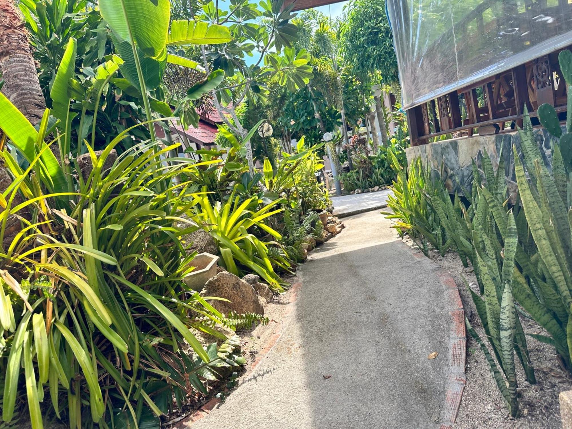 Phangan Lodge Баан Тай Екстериор снимка
